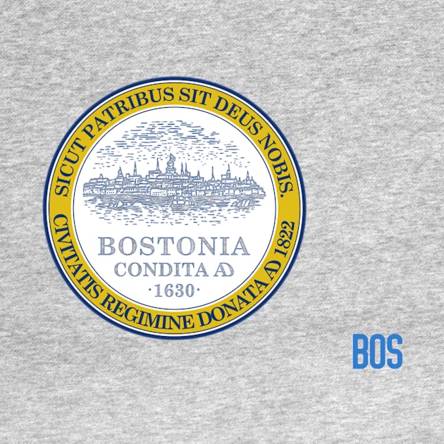 The city flag of Boston by mplusshift2